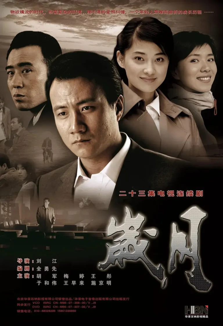 《岁月2010》全集高清完整版在线观看与剧情解析