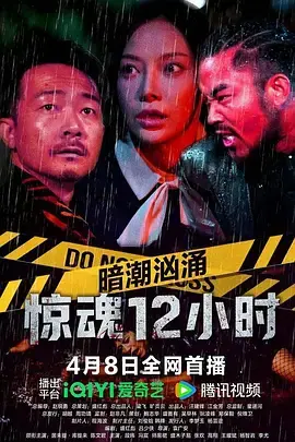 《暗潮汹涌之惊魂12小时》全集高清完整版在线观看与剧情解析