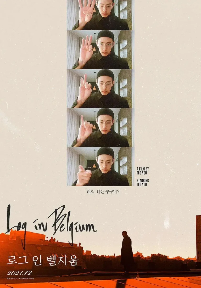 《被困比利时》全集高清完整版在线观看与剧情解析